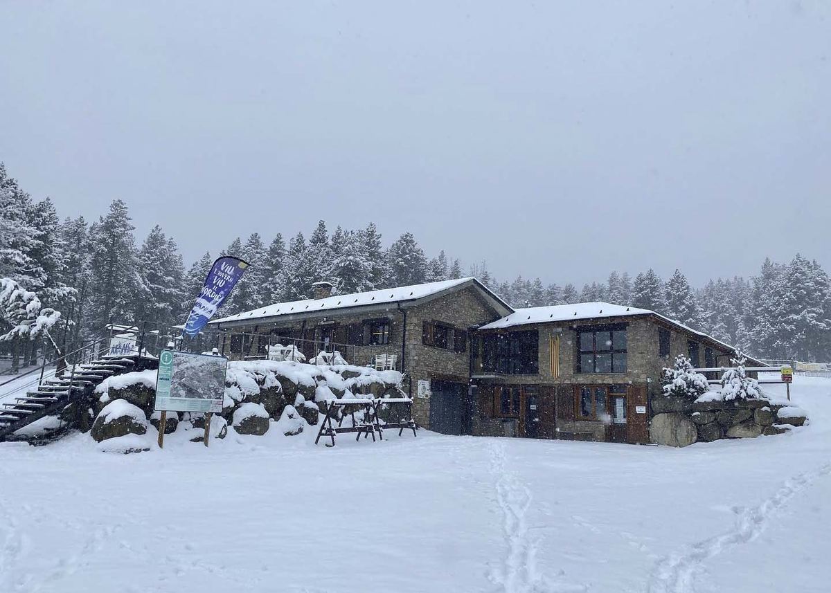 The Aransa cross-country ski trails, among pines and snow