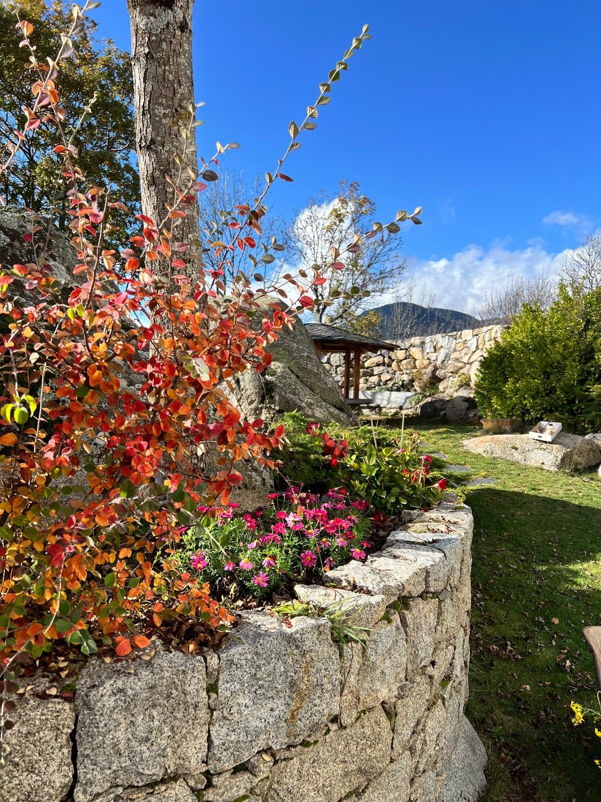 El jardín con flores en un parterre de piedra seca y la pérgola al fondo, bajo un cielo azul