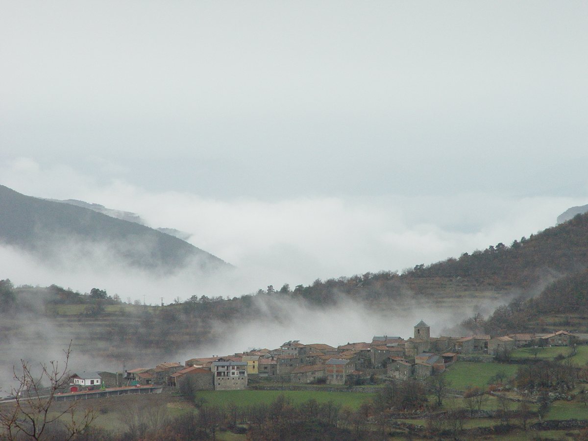 Músser in the mist, from the Lles road