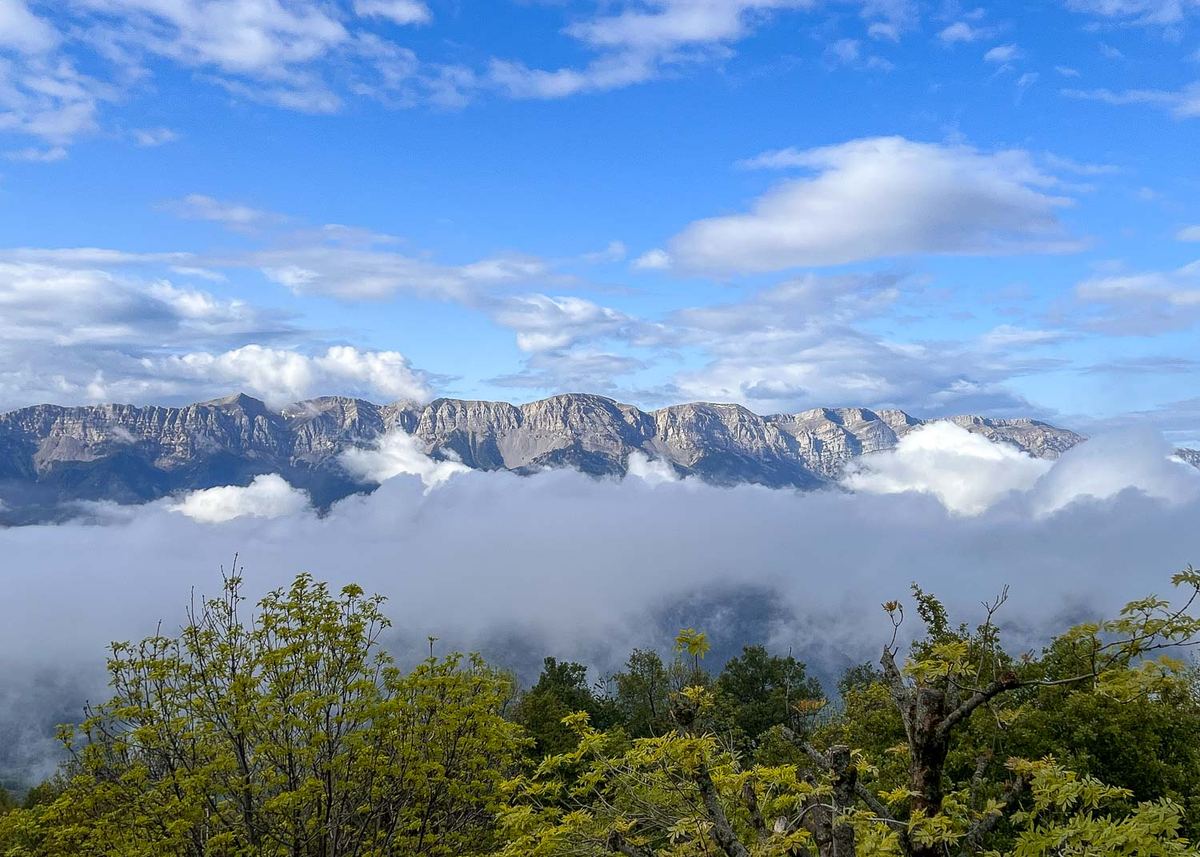 The Cadí range rising above a sea of clouds